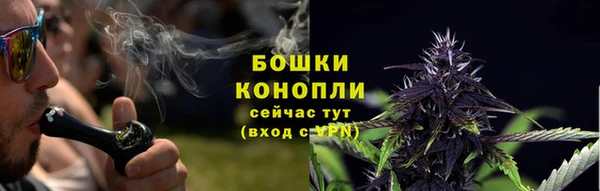 ECSTASY Абаза