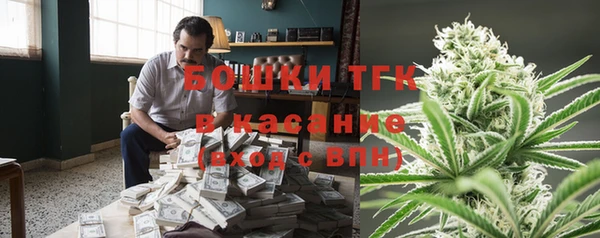сатива Абинск