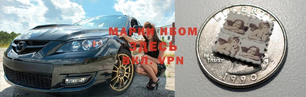 сатива Абинск
