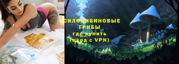 ECSTASY Абаза