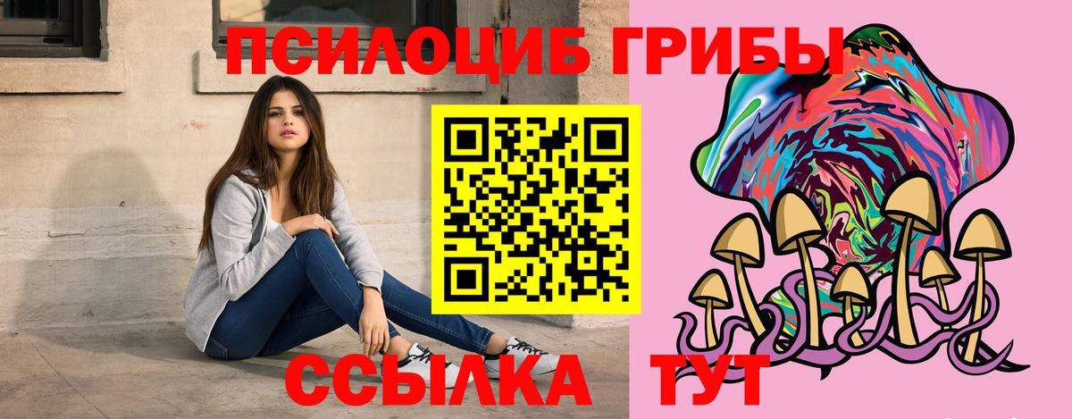 Псилоцибиновые грибы Psilocybe Кашира